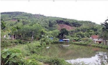 Căn cứ xác định là đất vườn, ao gắn liền đất ở