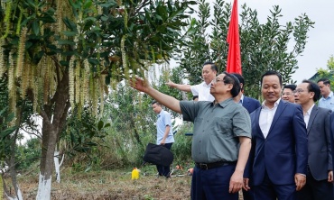 Thủ tướng Phạm Minh Chính: Cần biến núi rừng Tây Bắc trùng điệp thành của cải vật chất
