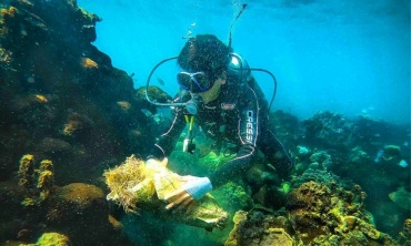 Xây dựng cơ sở dữ liệu DNA sinh vật biển: Nền tảng chiến lược cho khoa học và công nghệ biển Việt Nam