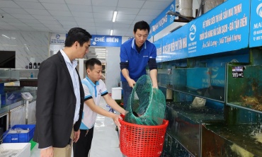 Tăng cường chuyển đổi số trong xây dựng nông thôn mới trên địa bàn tỉnh Quảng Trị
