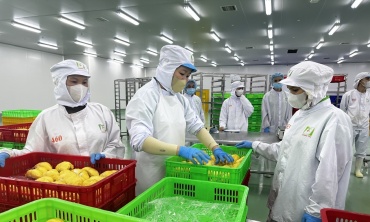 Khoa học, công nghệ là 'chìa khóa' chuyển đổi mô hình tăng trưởng nông nghiệp