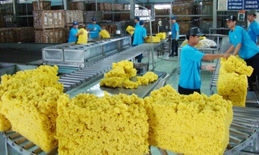 Xuất khẩu cao su 6 tháng đầu năm giảm cả lượng và giá trị