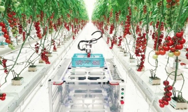 Điều kiện thành lập khu nông nghiệp ứng dụng công nghệ cao