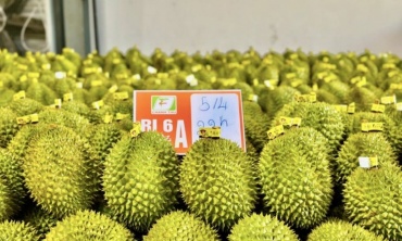 Đơn giản hóa cấp mã số vùng trồng, rút ngắn thời gian làm thủ tục