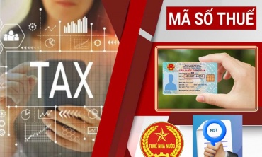Ngành Thuế tăng tốc chiến dịch 'Làm sạch mã số thuế', rà soát hơn 617.000 doanh nghiệp