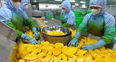 Xuất khẩu nông sản và thực phẩm chế biến: Hóa giải “điểm nghẽn” để tạo bứt phá