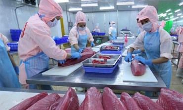 CPTPP thúc đẩy kết nối thương mại và đầu tư trong giai đoạn mới