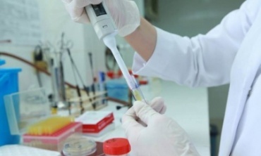 Điều kiện kinh doanh dịch vụ giám định: Yêu cầu chặt chẽ về tổ chức và nhân sự