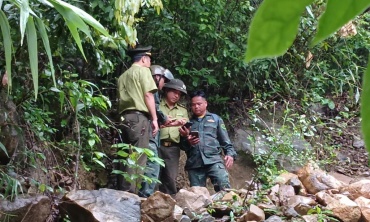 Tăng cường giám sát rừng bằng công nghệ số