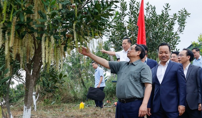 Thủ tướng Phạm Minh Chính: Cần biến núi rừng Tây Bắc trùng điệp thành của cải vật chất